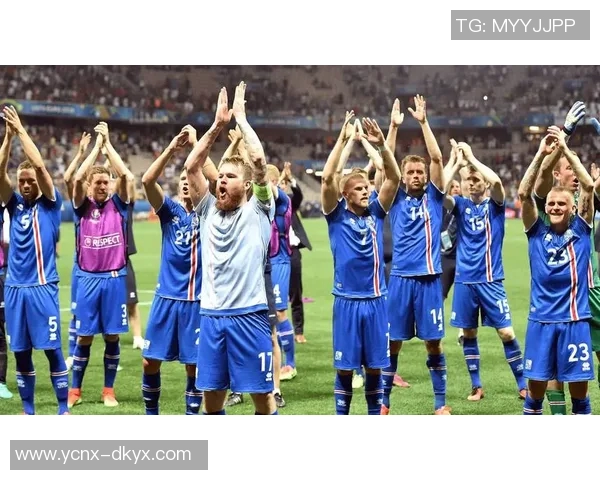 法国对冰岛足球比赛直播观看方式及相关信息汇总